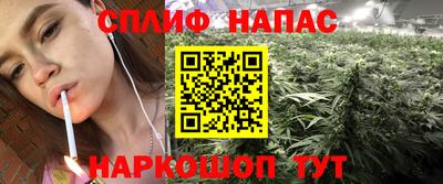 прущие грибы Тара